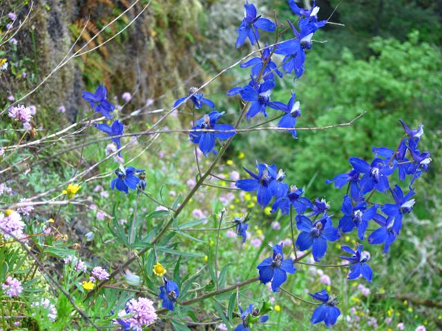 Eagle Creek-113.JPG - Eagle Creek